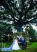 Quinta las Castañuela, lugares para boda en El Salvador
