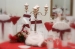 Angelitos, organización de boda en Costa Rica